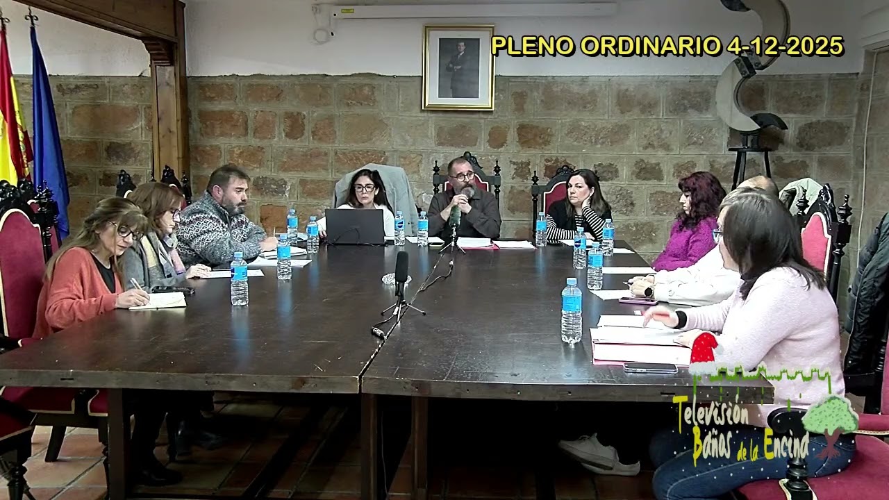 PLENO ORDINARIO 4 12 2025