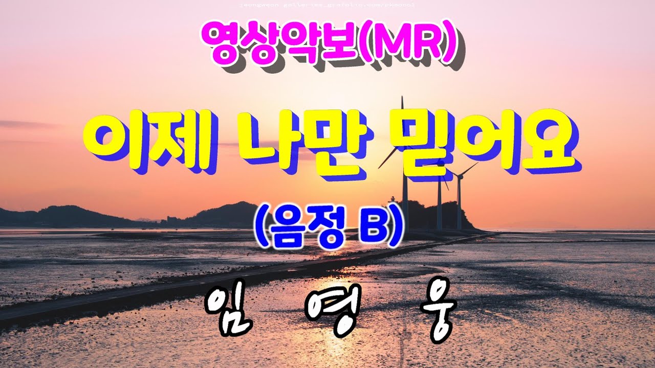 이제 나만 믿어요/B 임영웅 영상악보