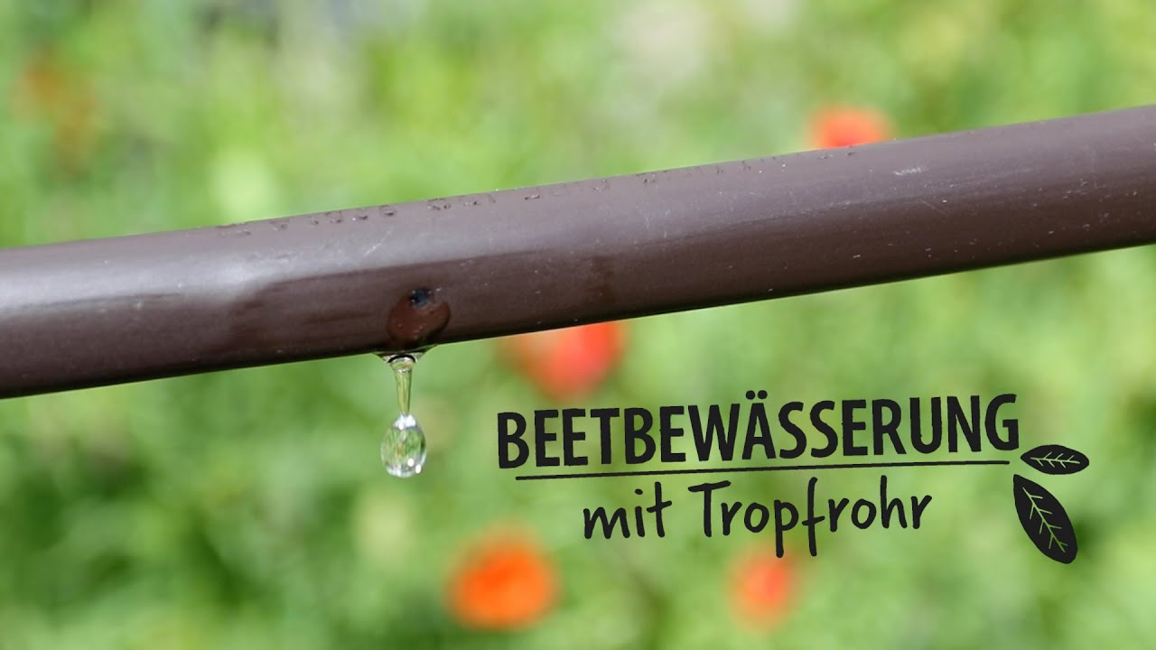 TROPFBEWÄSSERUNG: Beetbewässerung mit Tropfrohren anlegen
