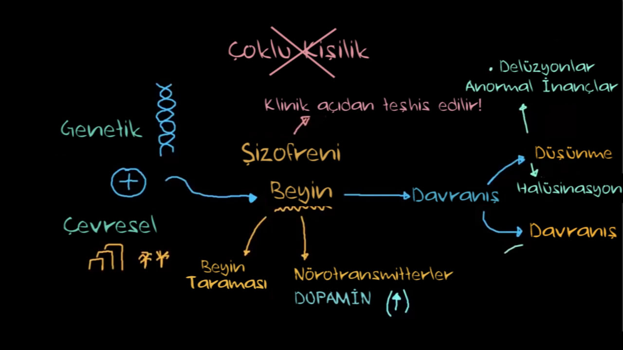 Şizofreni Nedir? (Psikoloji / Davranış) (Sağlık Bilgisi ve Tıp)