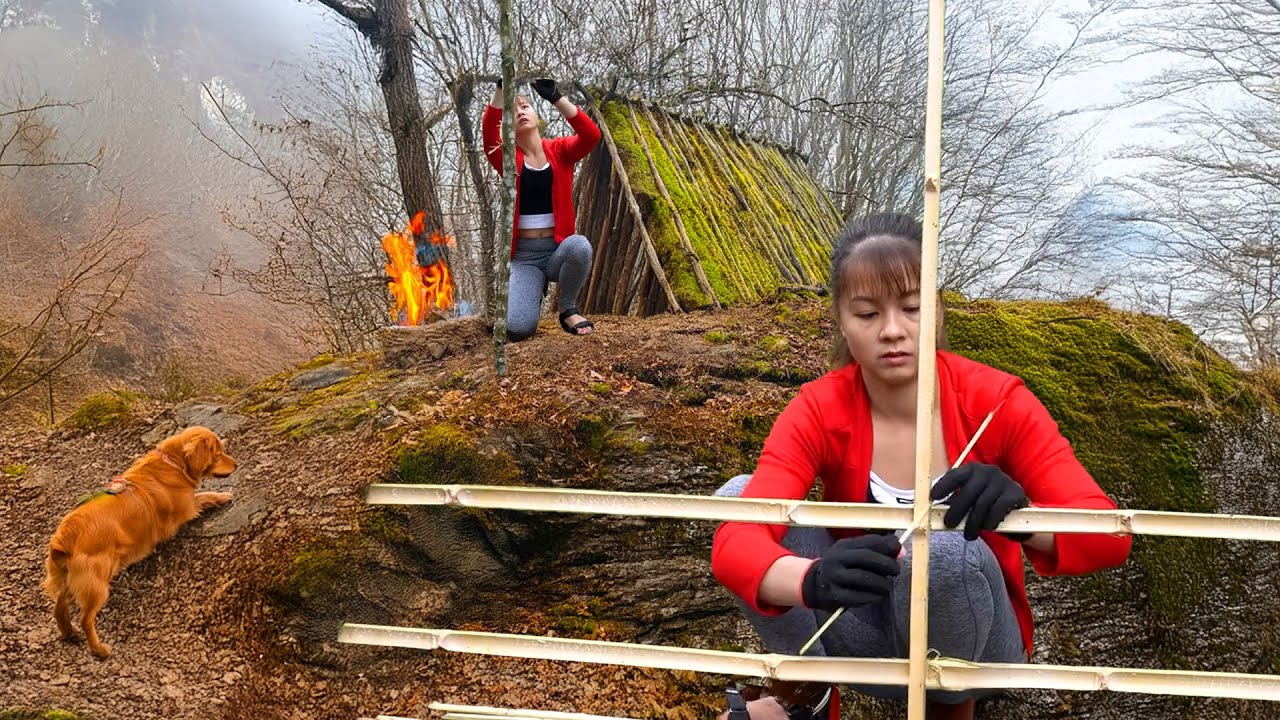 How to Build a Survival Shelter in the Forest - Bushcraft Cooking