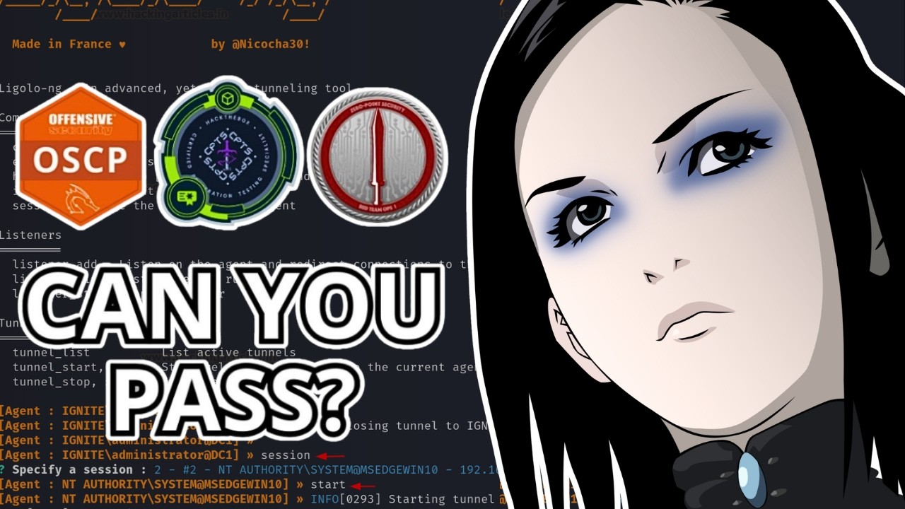 Жестоко честный тест по пентестингу (OSCP и CPTS)