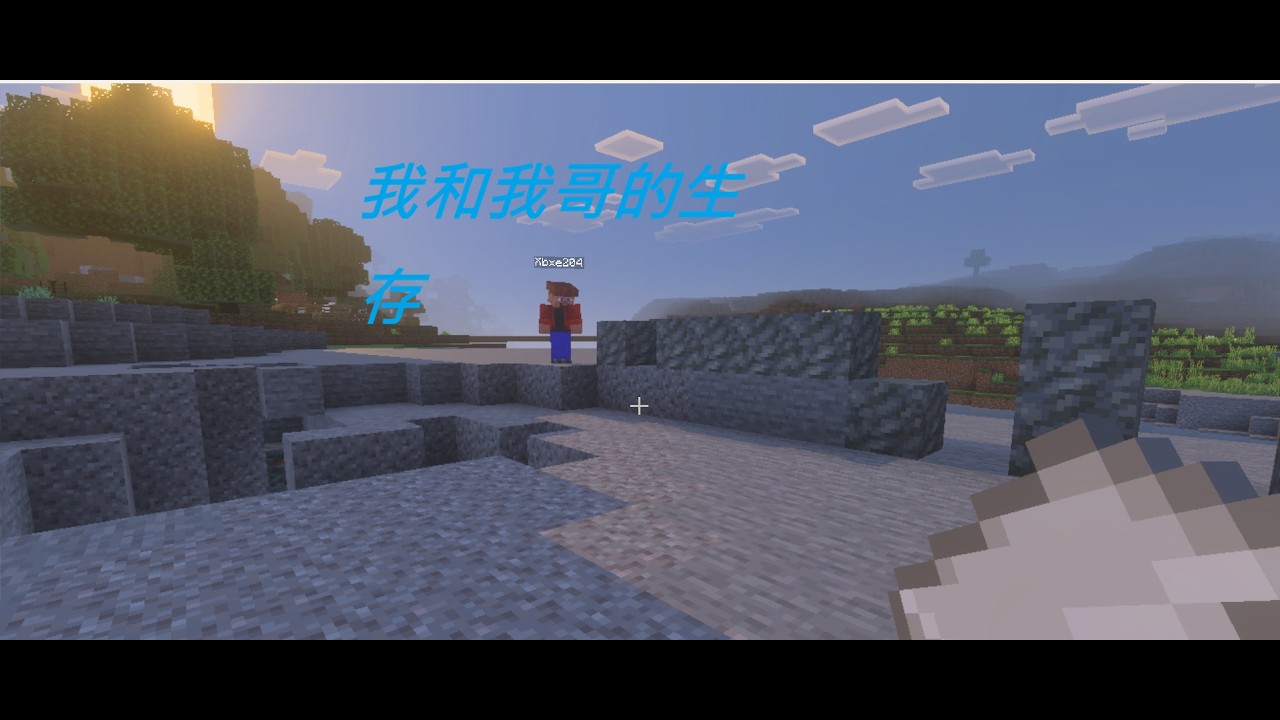 我和我哥的生存