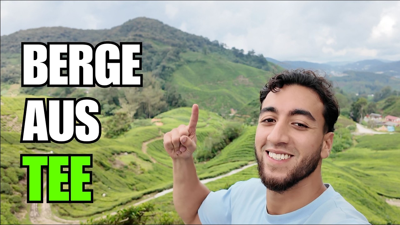 Malaysia überrascht mich 🇲🇾 - Cameron Highlands & Berge aus Tee 🌿