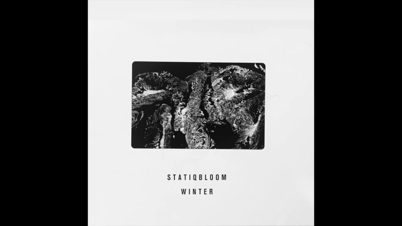 STATIQBLOOM - Pallid