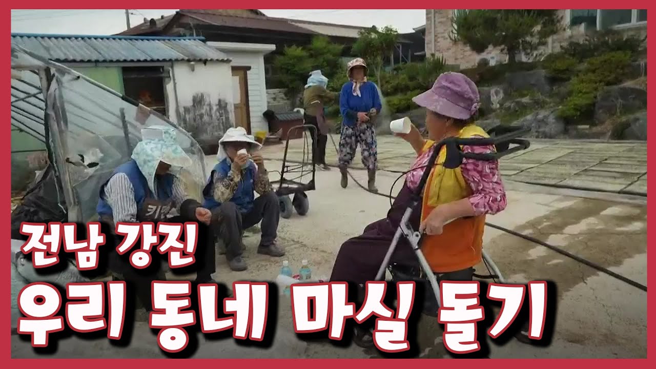 [남도지오그래피] 우리 동네 마실 돌기, 전남 강진｜KBS 220517 방송