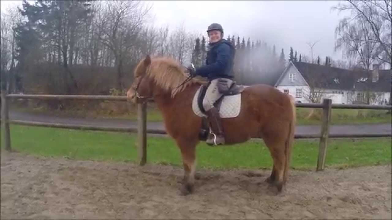 Indparkering