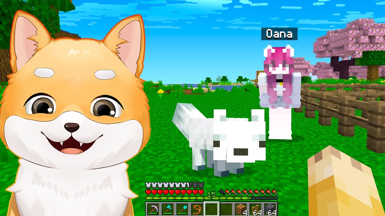 Am Gasit CEL MAI RAR MOB in Minecraft! (0,009% Sansa)