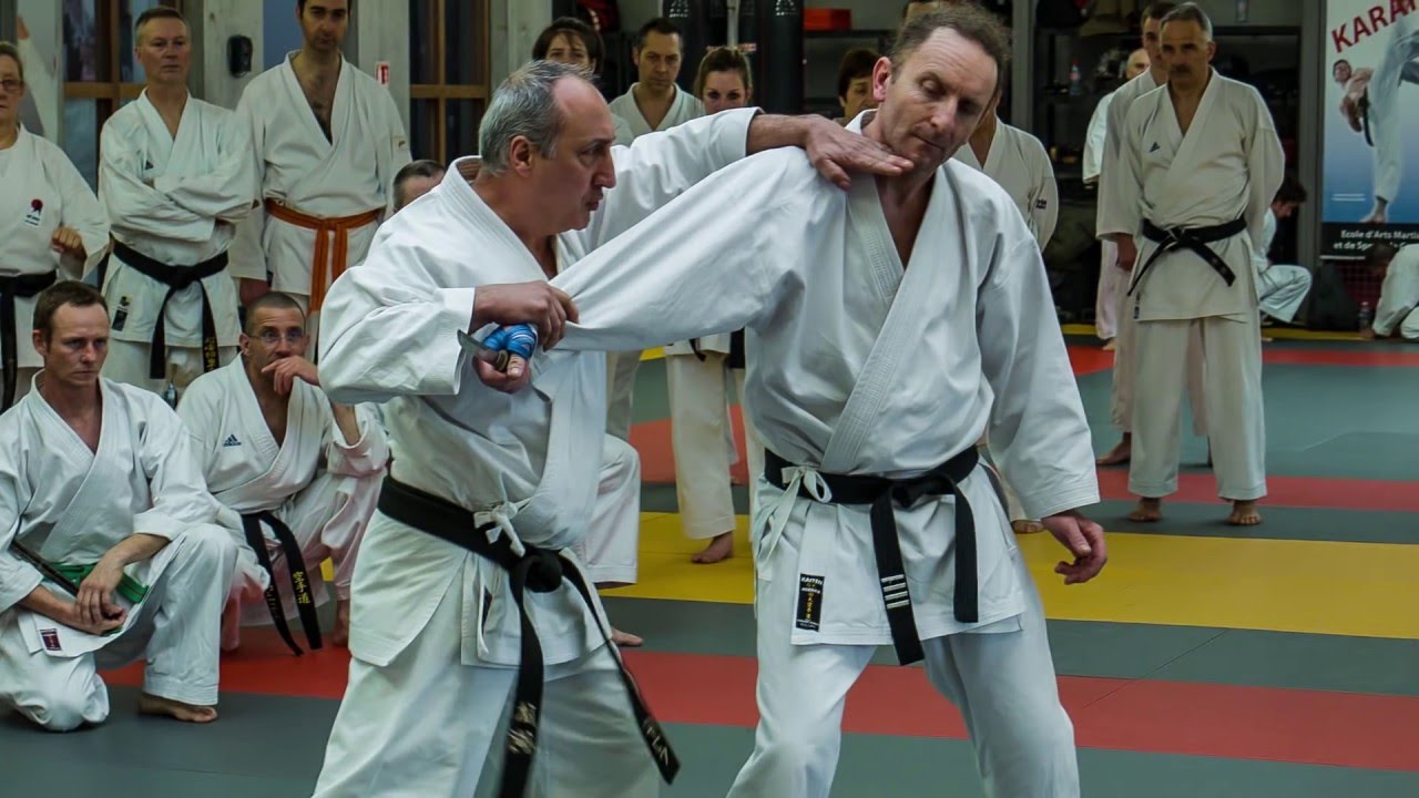 ENTRETIEN AVEC UN EXPERT : TAIJITSU