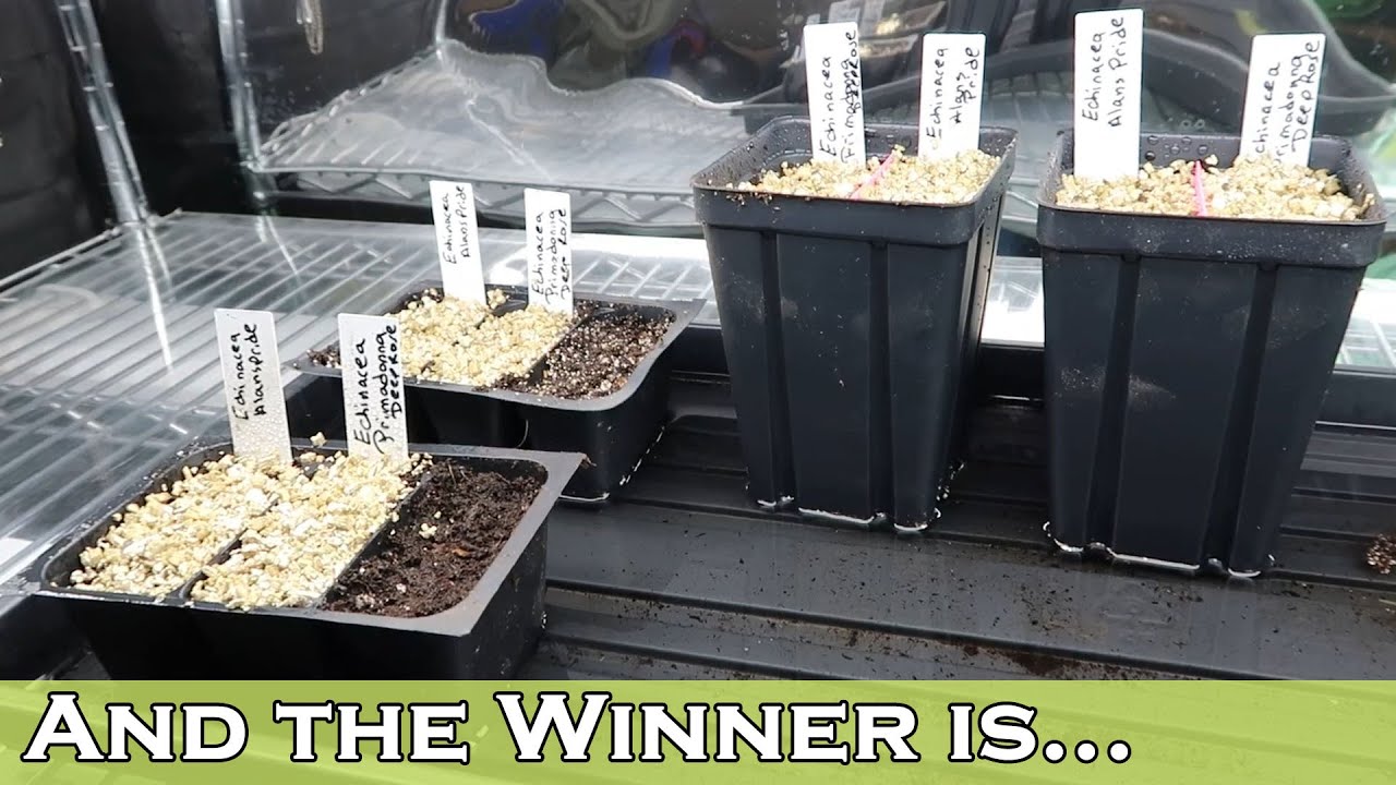 The Results Are In! One Method Was a Clear Winner...
