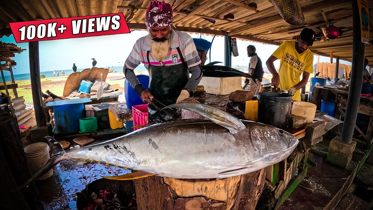 Satisfying Slicing! The Most Skilled Tuna Cutting You’ll Ever See