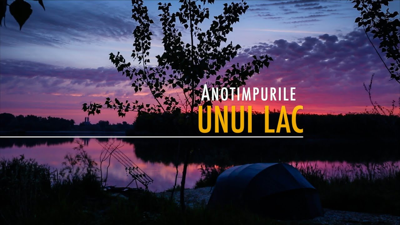 Anotimpurile unui lac