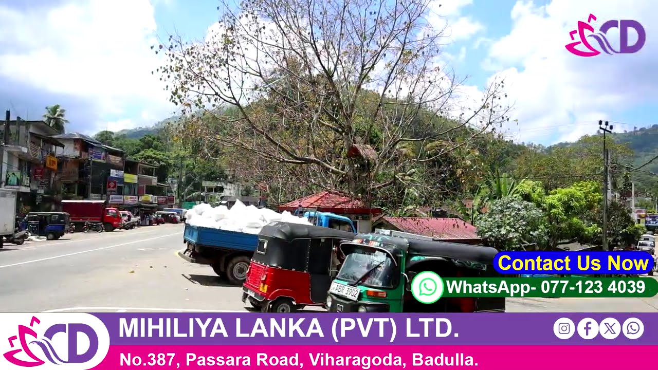 Badulla ප්‍රදේශයේ වටිනා Land එකක් | Ideal for House & Investment | Sri Lanka