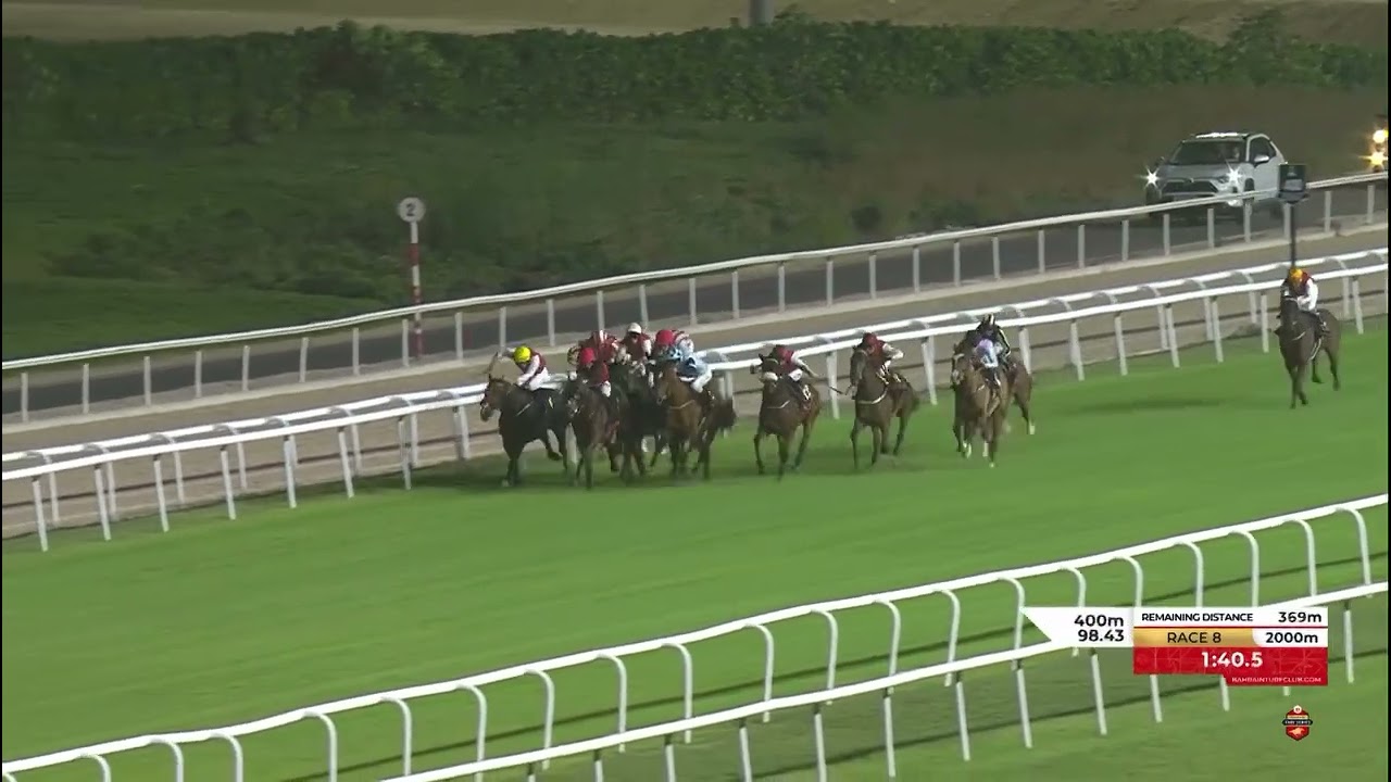 Nesthorn under Benoit De Le Sayette