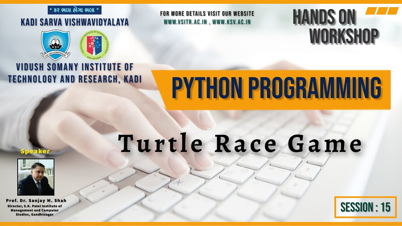 Session 15: Turtle Race Game