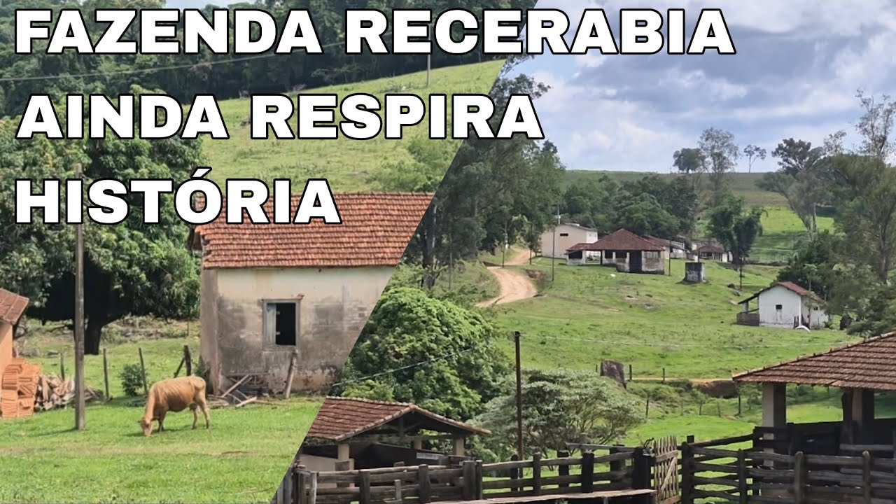 UMA VIAGEM PELAS ESTRADAS DA TERRA | O LADO ESQUECIDO E O LADO VIVO DA ROÇA
