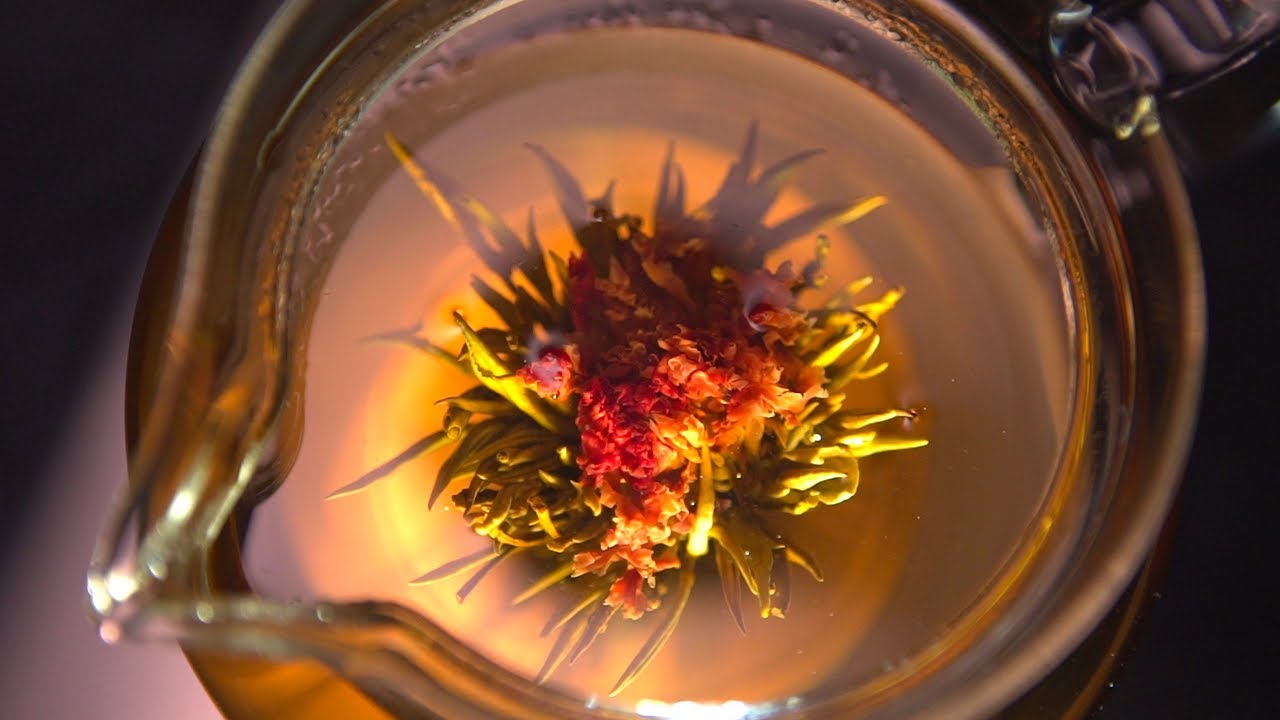 Blooming Tea Flowers and Time Lapse