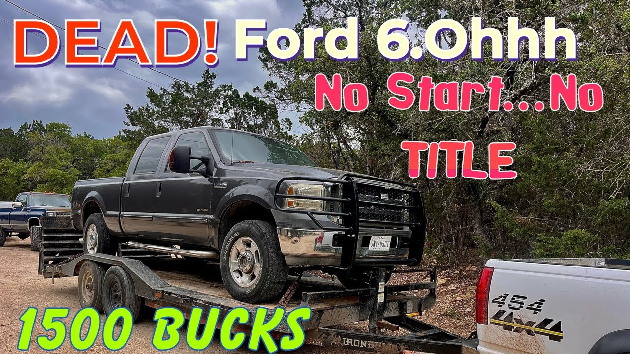 Cheap Ford 6.0 Power Stroke Diesel! Will it run? Or be goood????