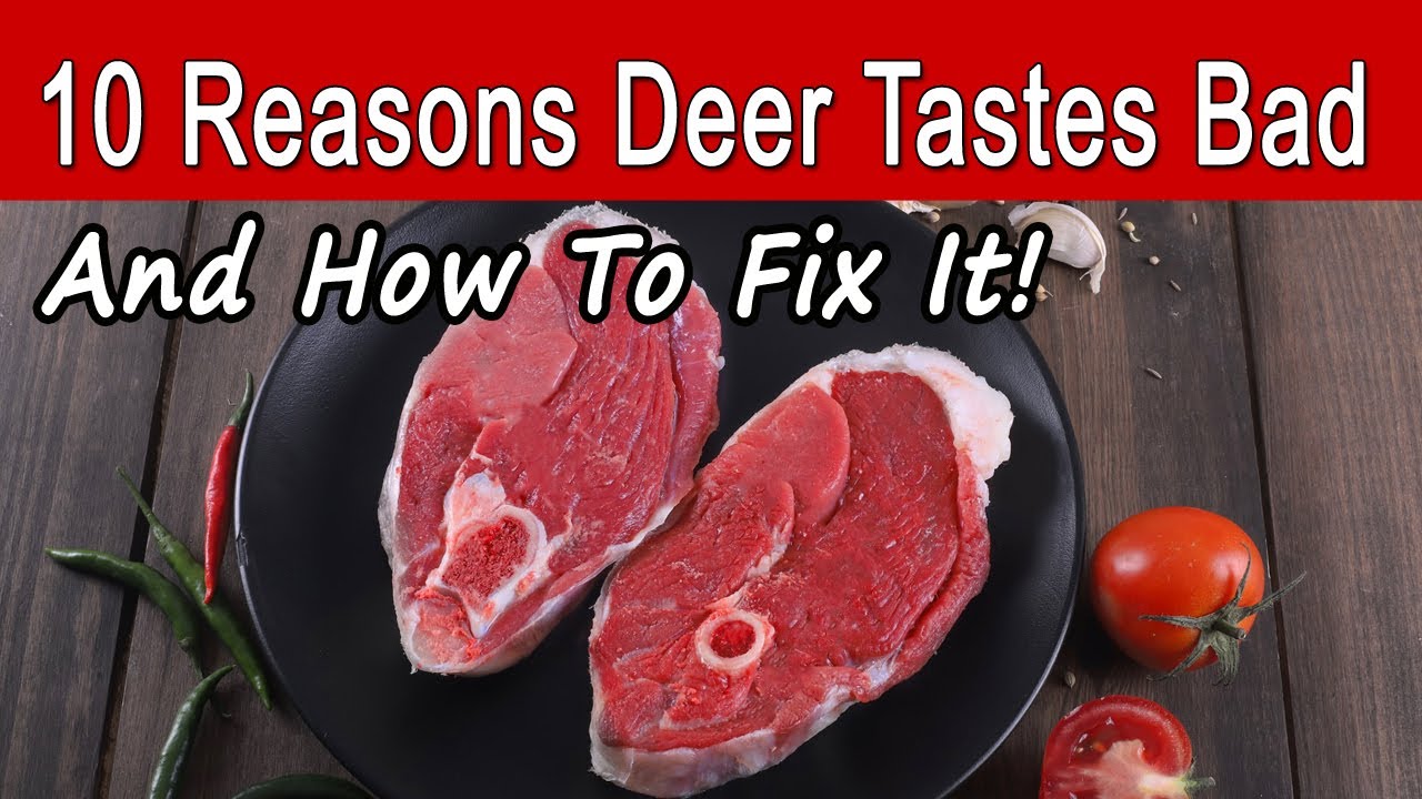 10 Reasons Deer Meat Tastes Bad & How To Make Venison Taste Great