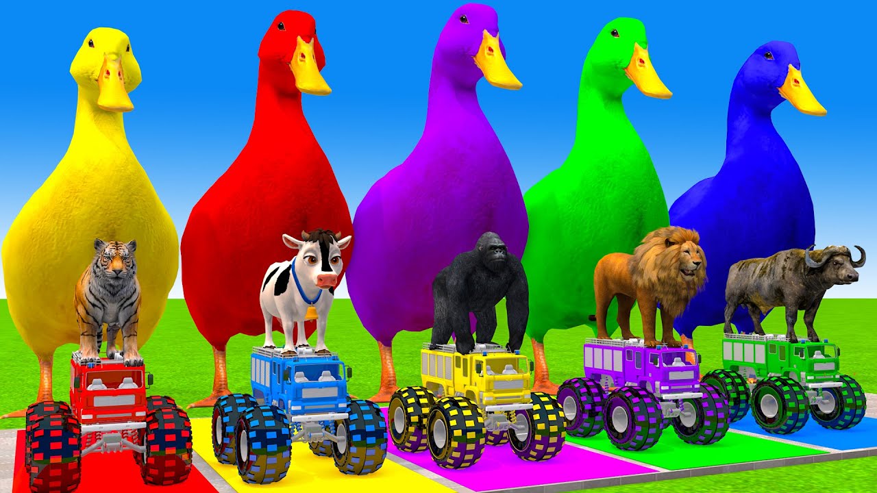 5 Giant Duck Cartoon,Cow,Elephant,T-Rex,Tiger,Lion, Paint Wild Animals Crossing Fountain Animation