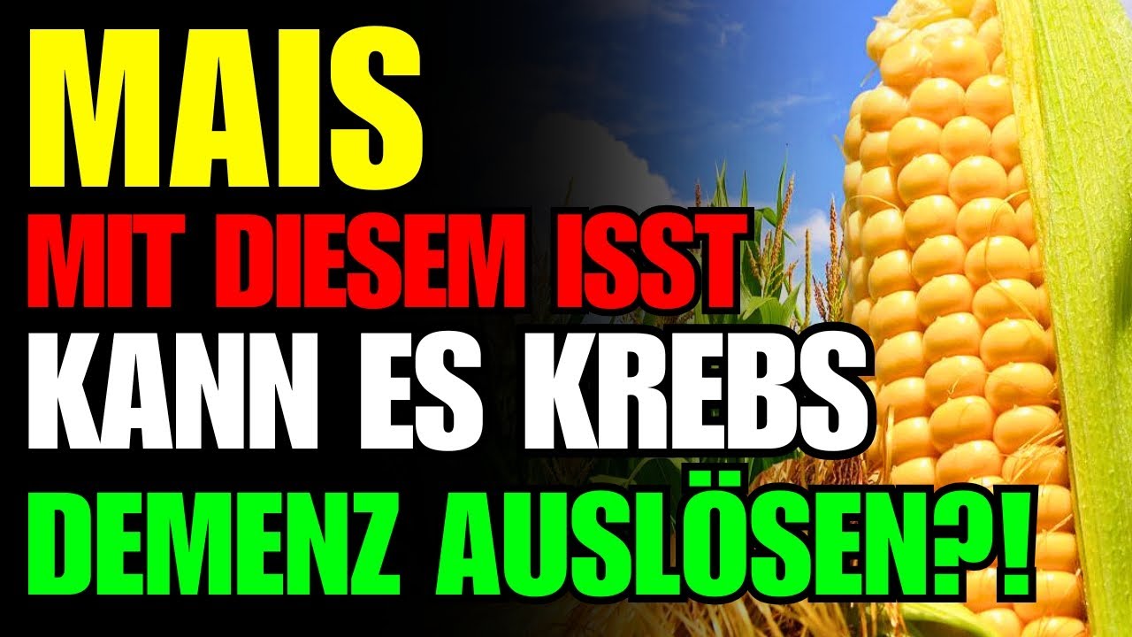 Iss niemals deinen MAIS mit dem&ldquo;!🌽 3 schlimmste Kombinationen + geheimes Rezept f&uuml;r deine Gesundheit