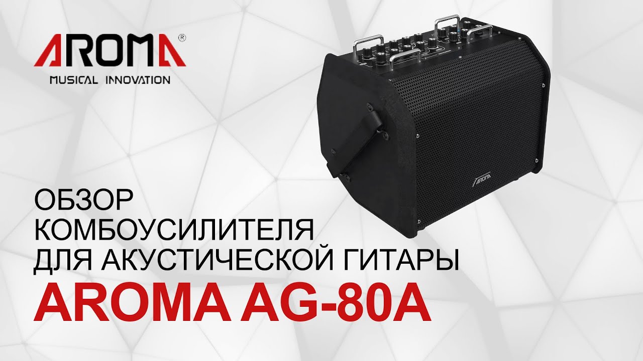 Обзор комбоусилителя для акустической гитары AROMA AG-80A