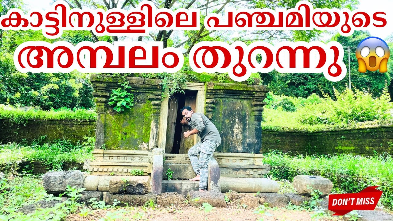 കാടുകേറിയ പന്തിരുകുലത്തിന്റെ ഇന്നത്തെ അവസ്ഥ | Story of Parayi Petta Panthirukulam Location |Vlog214