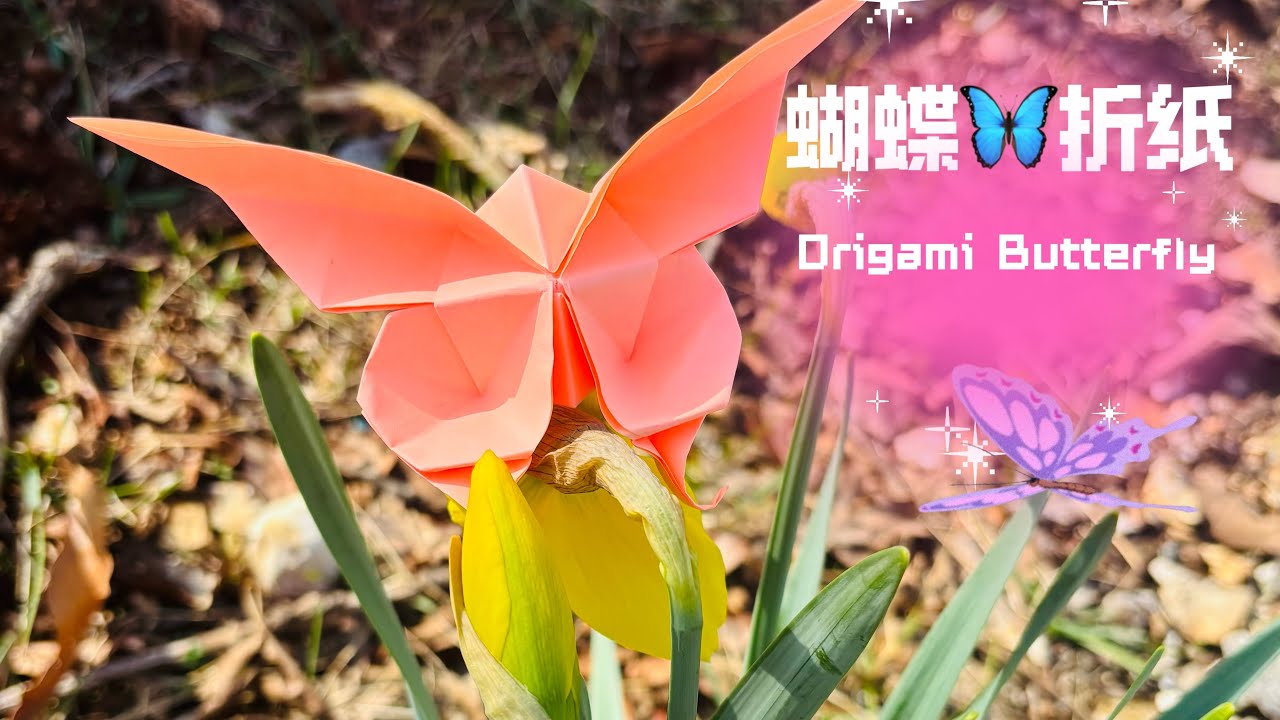 # Easy Origami Butterfly 🦋- 蝴蝶折纸 