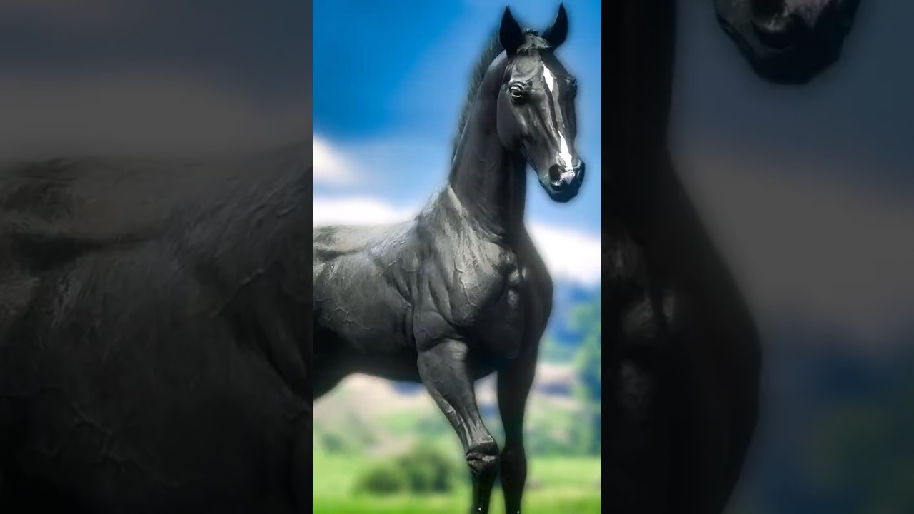 Free Black Arabian 🐎