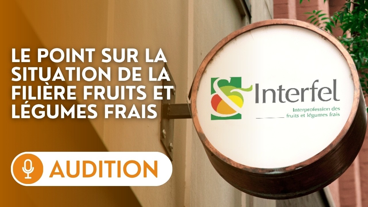 🔴 L&rsquo;interprofession des fruits et l&eacute;gumes frais fait le point sur la situation de la filli&egrave;re