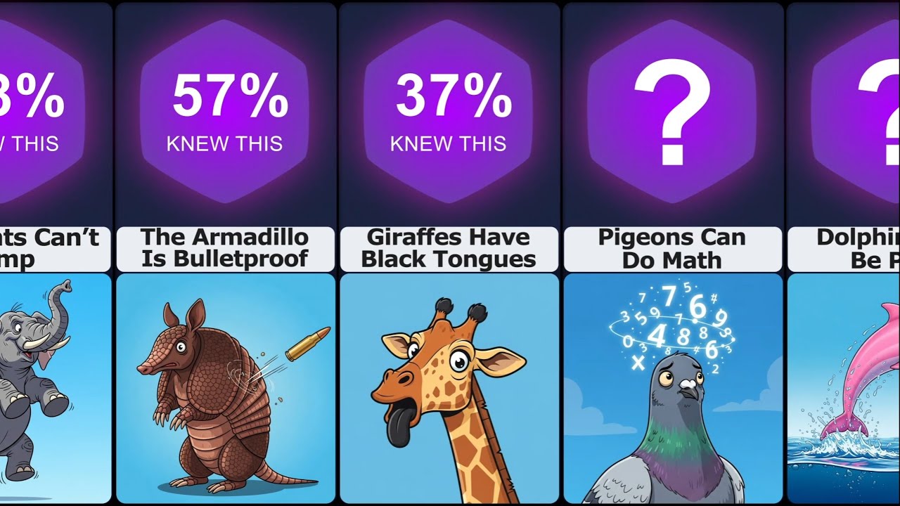Comparison: Animals Facts You Probably Didn’t Know