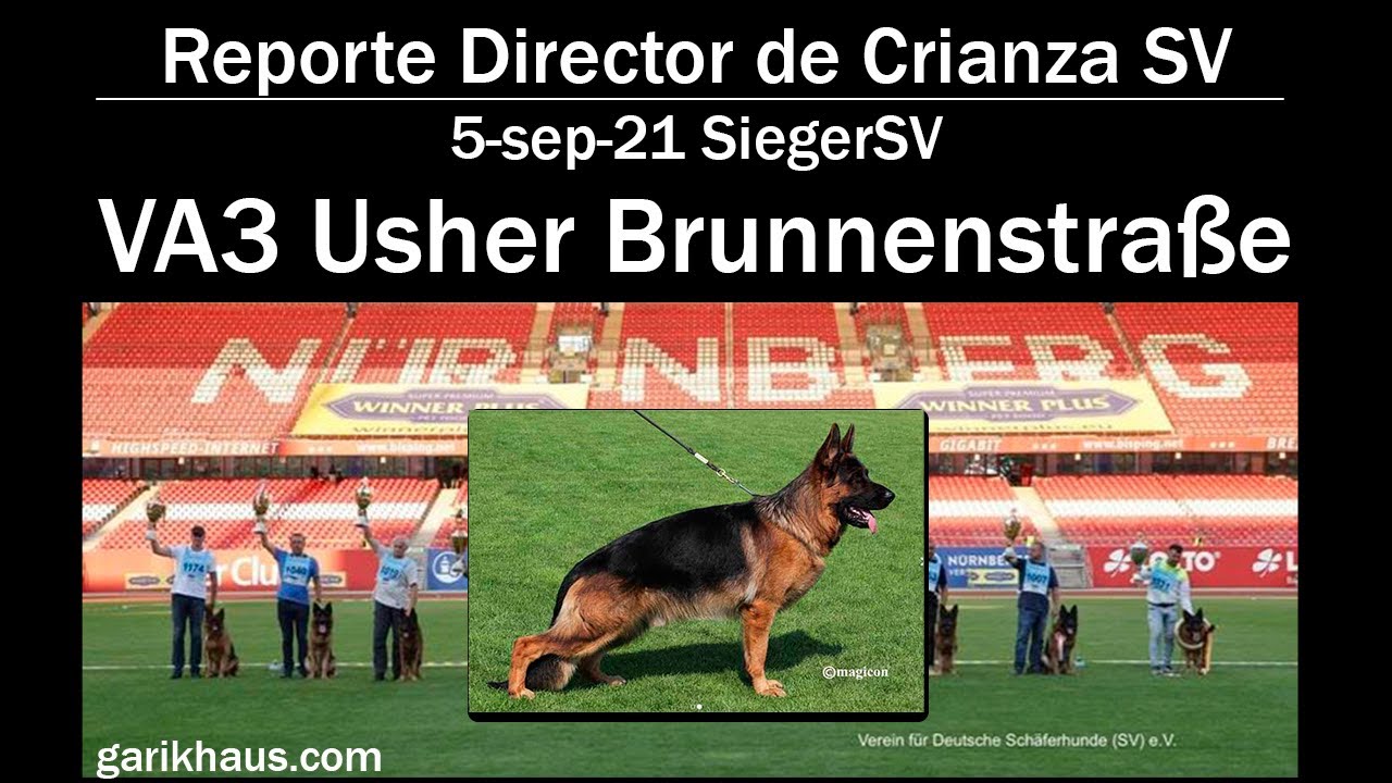 BSZS 2021 reporte VA3 Usher aus der Brunnenstra&szlig;e