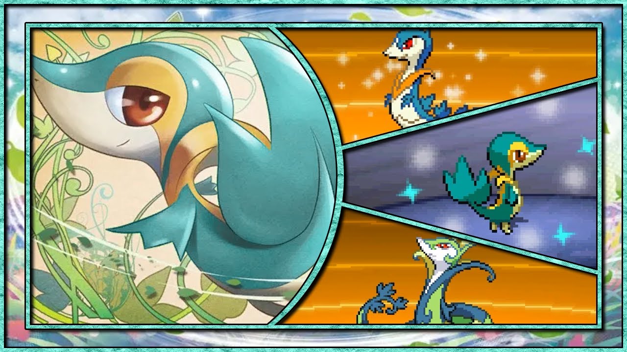 Live shiny Snivy (+Evos) on Pokemon Black 2 after 2,745 SR's! (B2 FTQ#1)