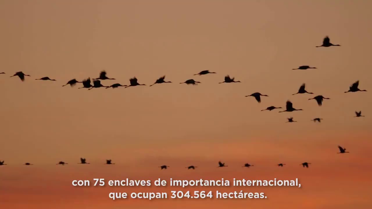 Día Mundial de los Humedales