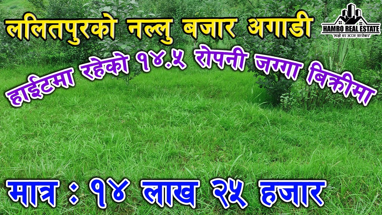 ललितपुरको  नल्लु बजार अगाडी १४.५ रोपनी जग्गा बिक्रीमा आयो। Cheap land for sale at Nallu, Lalitpur.