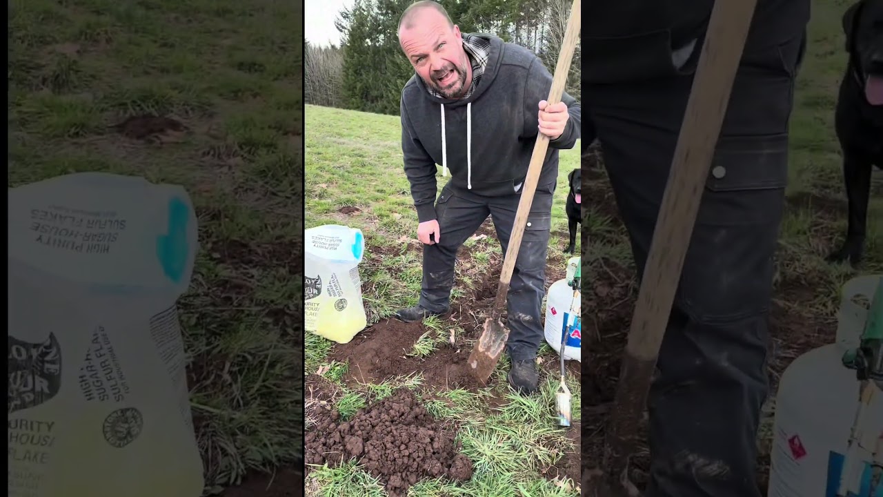 Don&rsquo;t waste your money buying gopher bombs. #gophers #homestead #farming #shorts #yard #pestcontrol