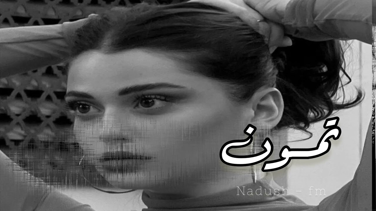 نادر الشراري - يالمترف المتكامل المزيون - تمون - بطيء 2022