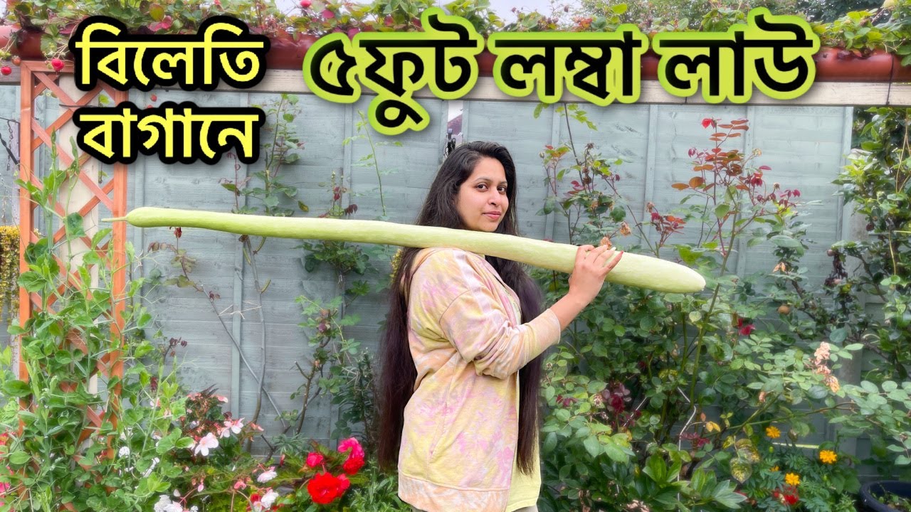 বিলেতে এতো লম্বা লাউ আমি জীবনে দেখিনি! ৫ফুট লম্বা 😱 Shahnaz Shimul Vlogz