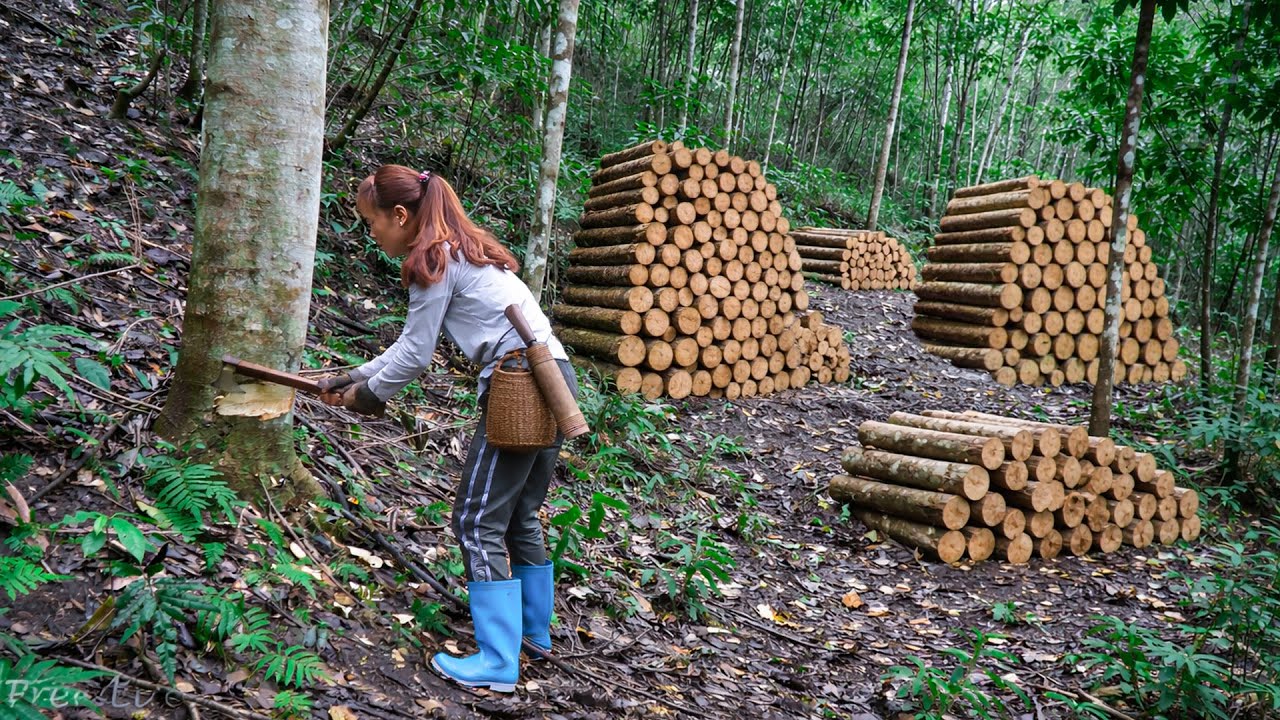 An Axe, a Dream: The Girl Chopped Trees to Make Pillars for Her Dream House Deep in the Forest