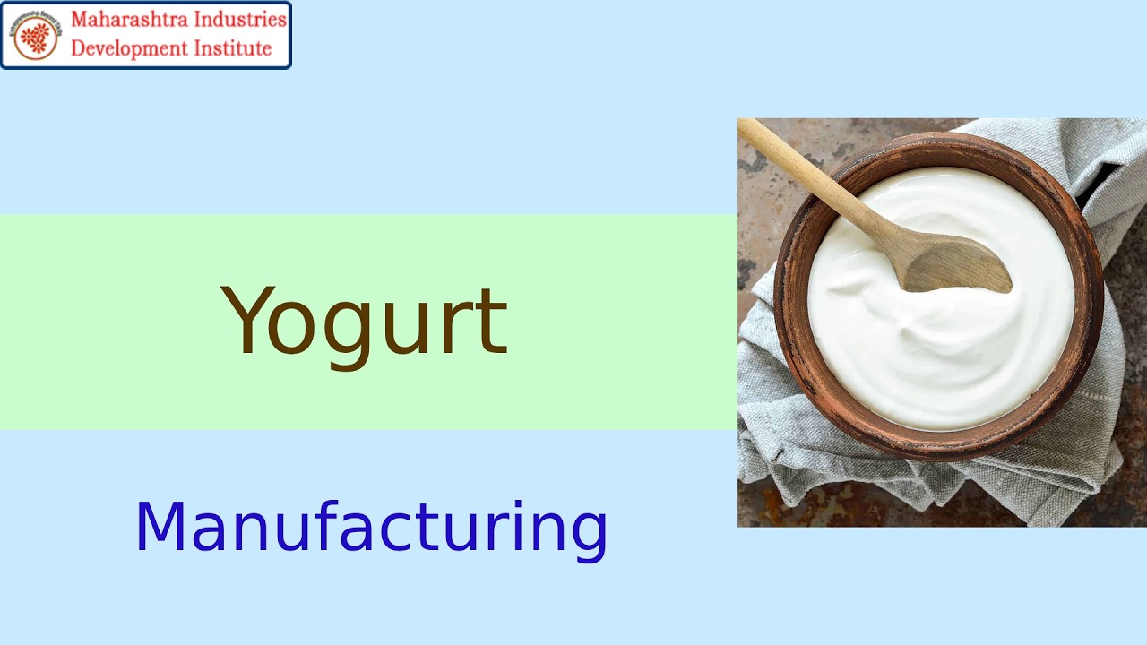 Yogurt Manufacturing Business