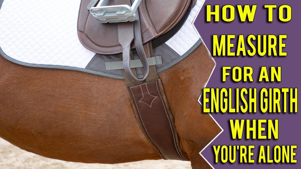 How To Measure Your Horse For An English Girth When You Are All Alone