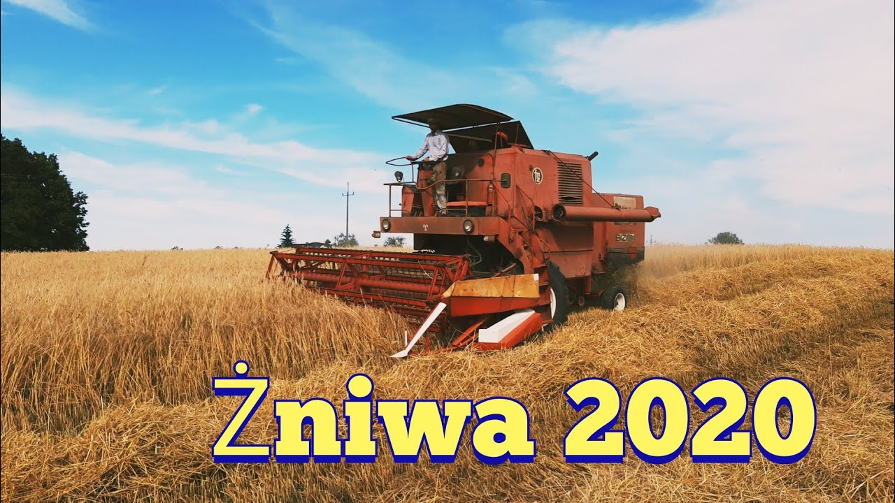 Żniwa 2020 / Żyto / Bizon ZO56