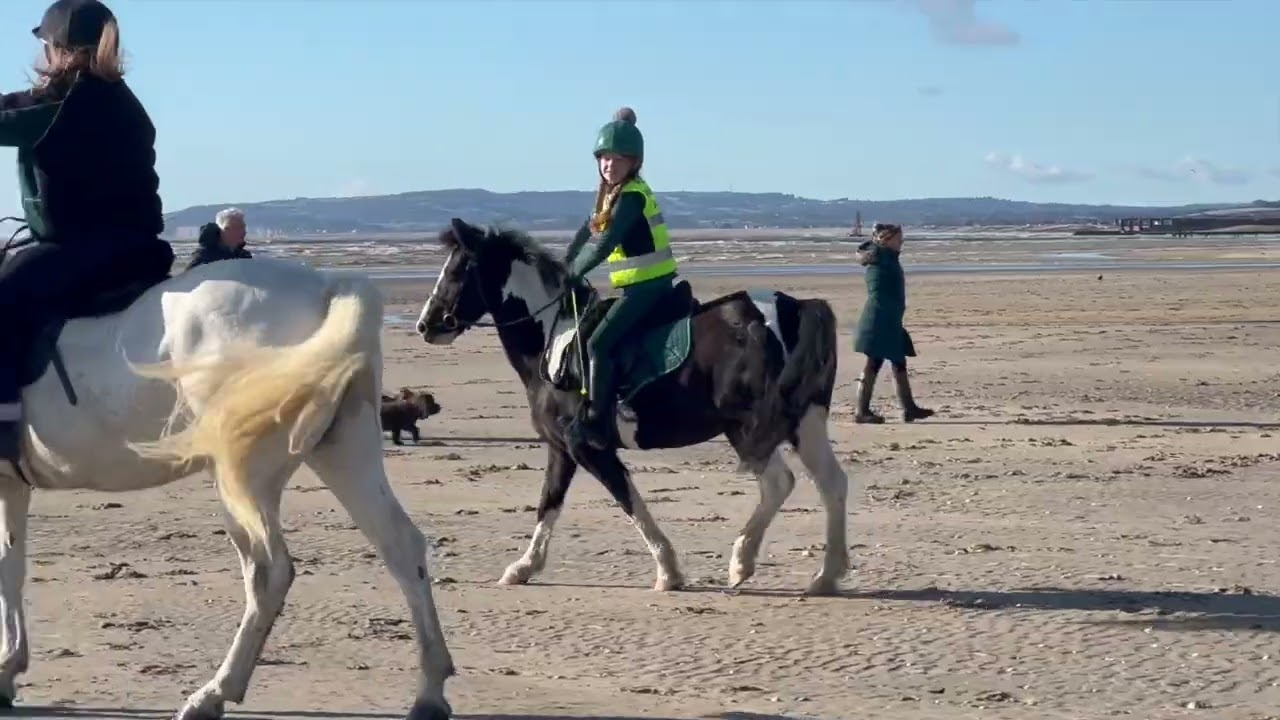 Horsing Around