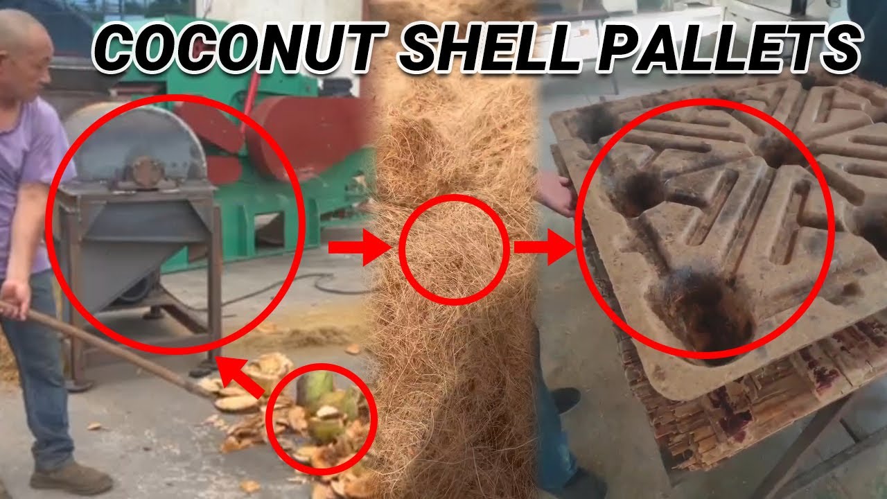 Good Investment: Coconut Shell Peeling Machine & Compressed Molded Pallets Press Machine