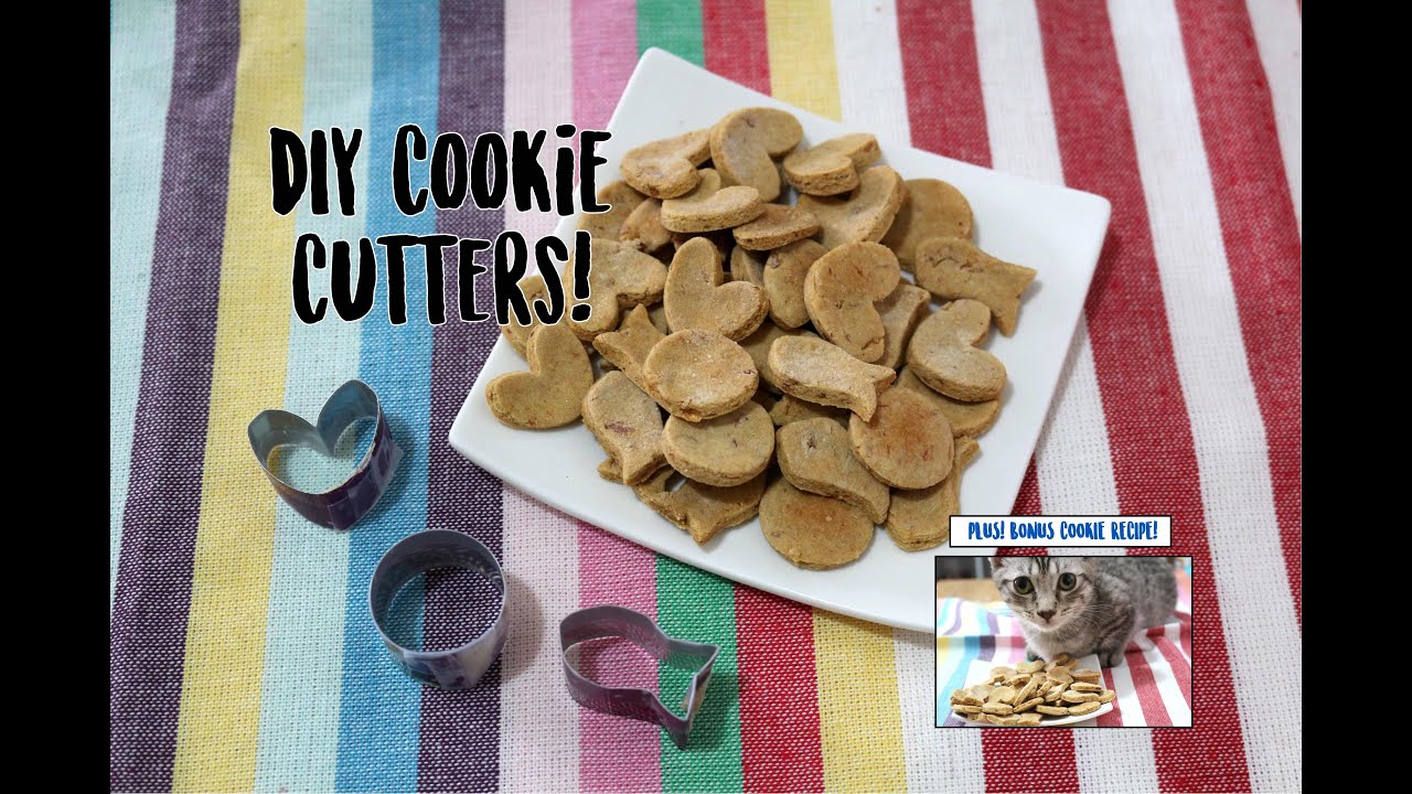 DIY Cookie Cutter & Tuna Cookie Recipe for Cats & Dogs!