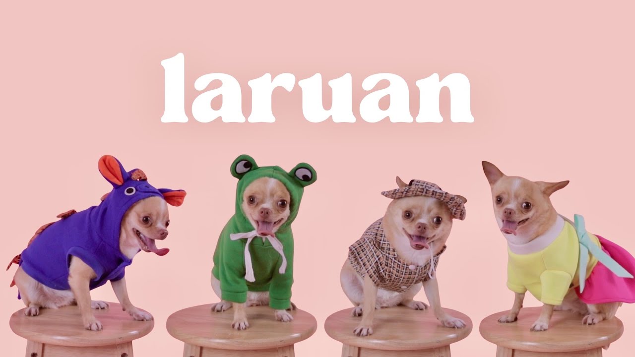 Laruan - Marion Aunor (Official Lyric Visualizer)