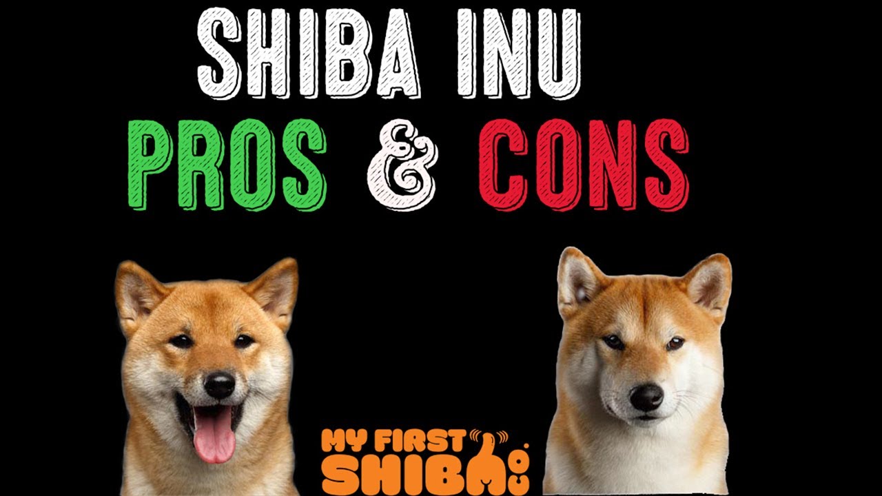 Shiba Inu - The Pros and the Cons