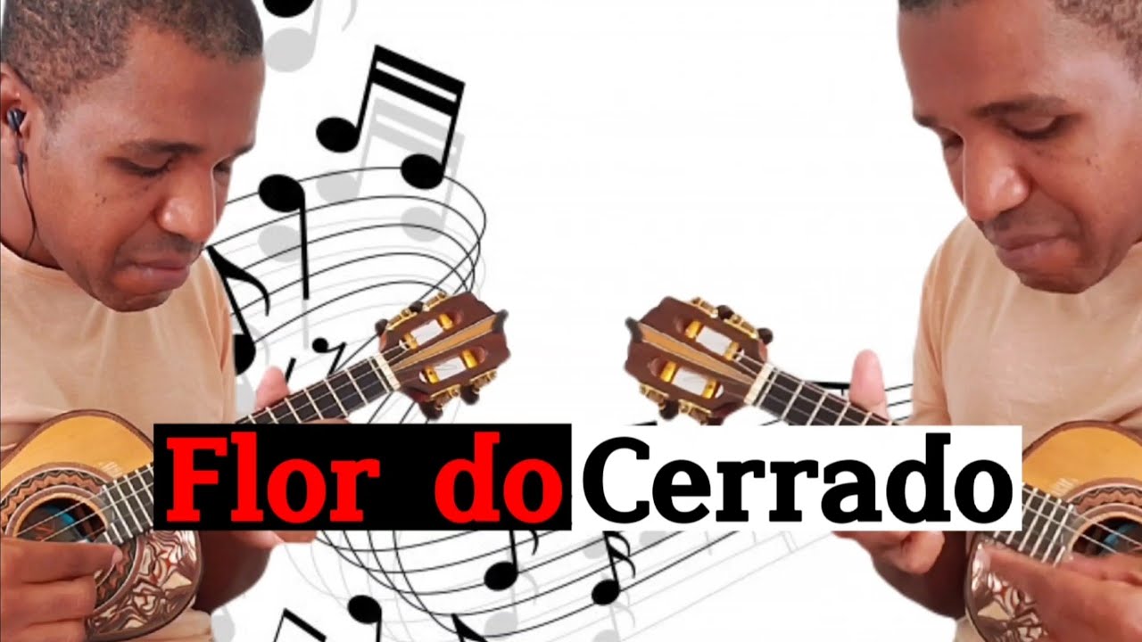 Cavaquinho Binha Thomaz Flor do Cerrado (Waldir Azevedo)
