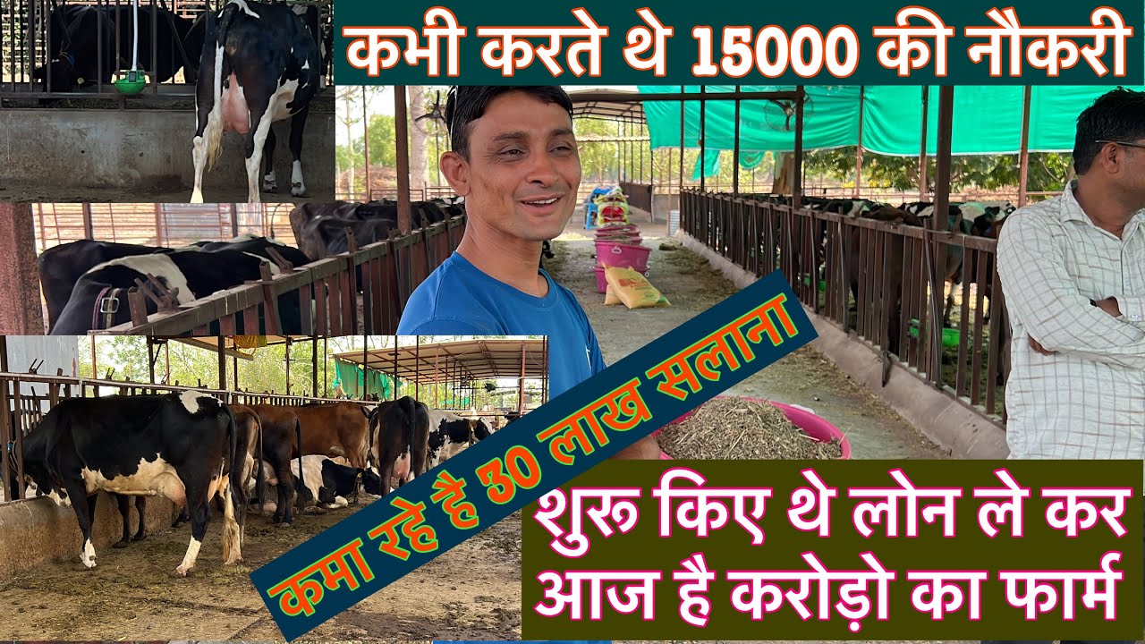 कभी करते थे 15000 की नौकरी,,आज कमा रहे है 30 लाख सालाना,#ejjukibusinessideas #dairyloan#dairygujarat