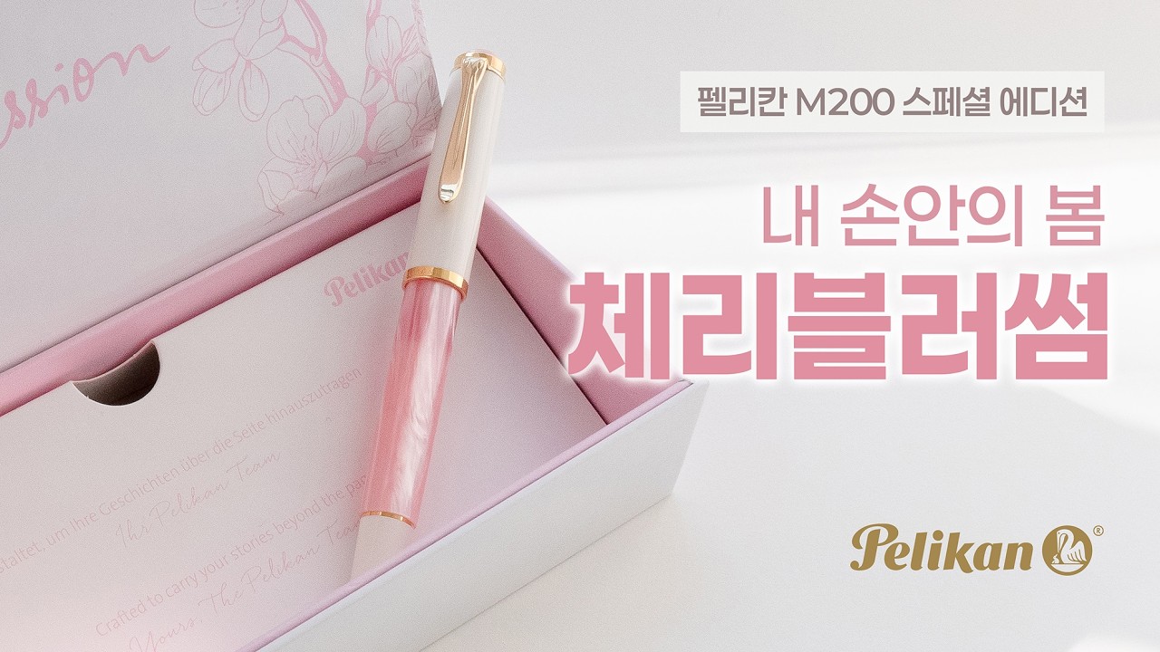 내 손안의 봄, 펠리칸 M200 체리블러썸 만년필 오픈케이스